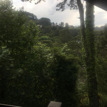 Campos do JordãoAqui A Vida E Bella公寓 外观 照片